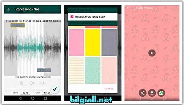 whatsapp-durum-muzik-paylasma-nasil-yapilir