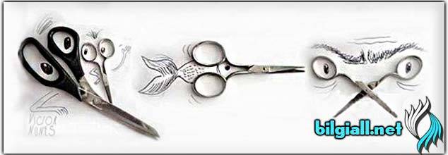 tesbih-nedir-benzetme-sanati-nedir-tesbih-ornekleri-tesbihi-balig