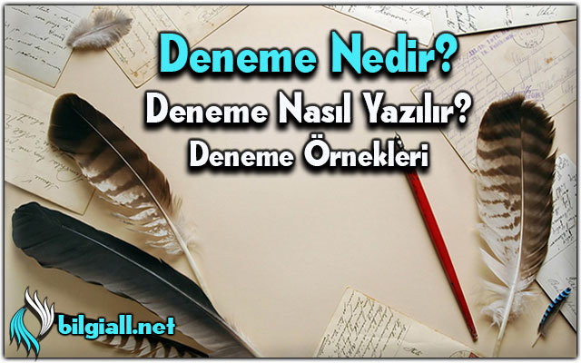 Deneme Nedir?, Nasıl Yazılır?, Örnekleri ve Özellikleri