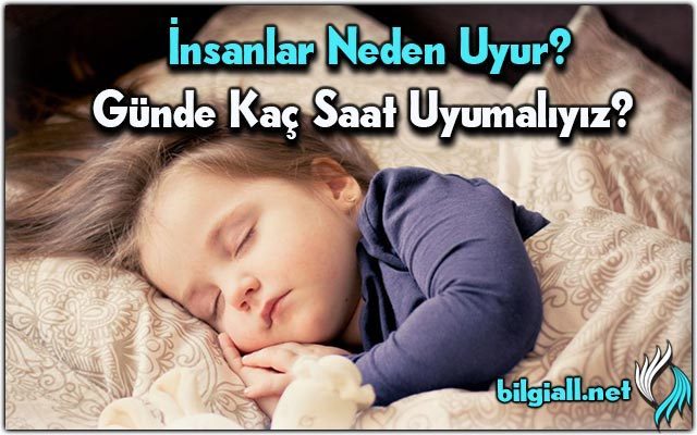 insanlar-neden-uyur;gunde-kac-saat-uyumaliyiz;nicin-uyuyoruz;uyanik-kalma-rekoru-kac-gundur;insanlar-nicin-uyur